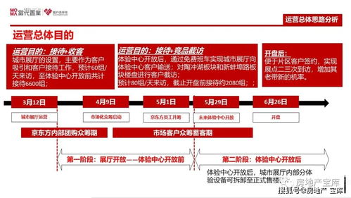 《某項目策劃定位報告》框架解析與公關服務整合策略